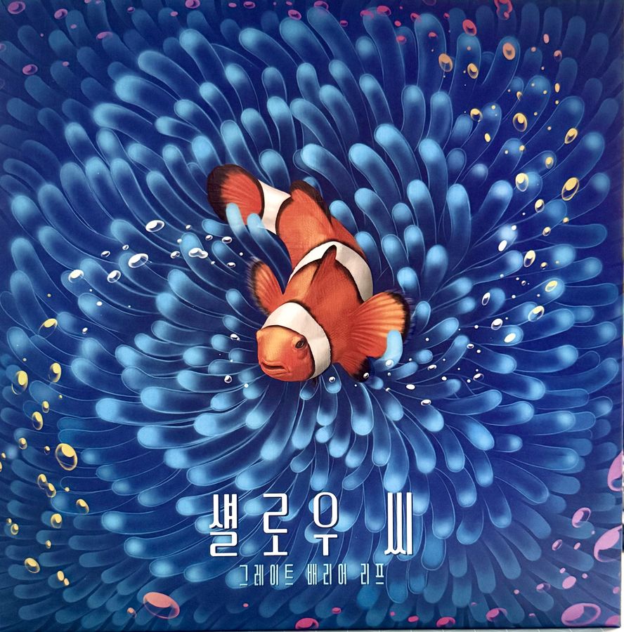 섈로우 씨